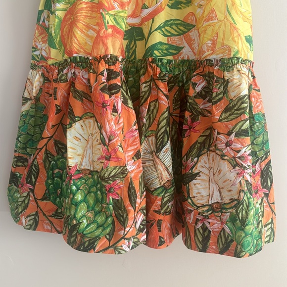 LIKE NEW! FARM Rio Caipirinha Mini Dress, size small. - Picture 3 of 5